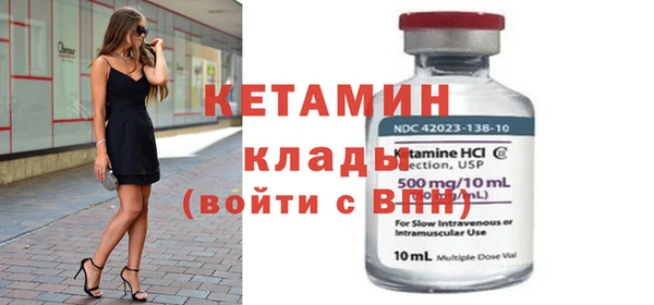 хмурый Аркадак