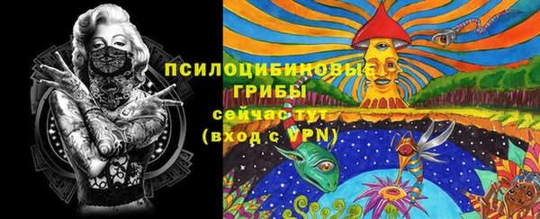 хмурый Аркадак
