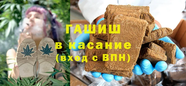 хмурый Аркадак