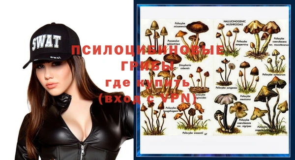 хмурый Аркадак