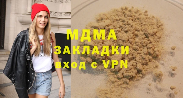 хмурый Аркадак