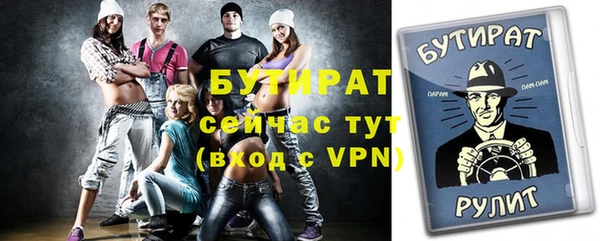 хмурый Аркадак
