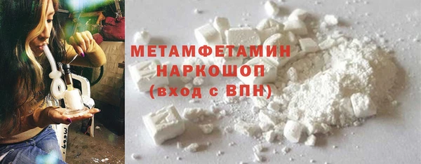 хмурый Аркадак