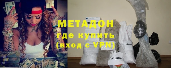 хмурый Аркадак