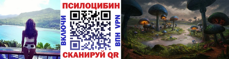 Псилоцибиновые грибы MAGIC MUSHROOMS  хочу   блэк спрут tor  Каневская 