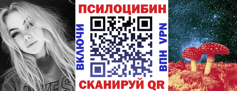 Псилоцибиновые грибы Cubensis Каневская